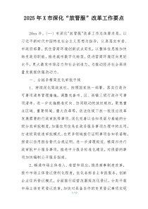 2025年X市深化“放管服”改革工作要点