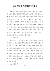 2025年X市应急管理工作要点