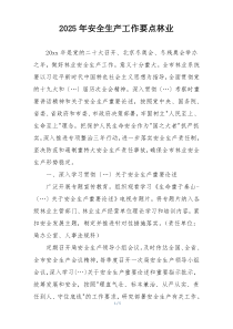 2025年安全生产工作要点林业