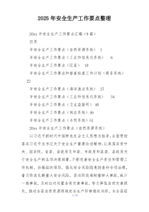 2025年安全生产工作要点整理