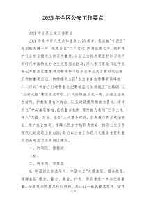 2025年全区公安工作要点
