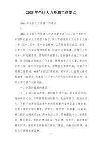 2025年全区人力资源工作要点
