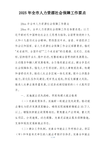 2025年全市人力资源社会保障工作要点