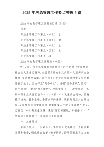 2025年应急管理工作要点整理5篇