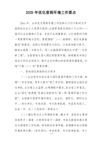 2025年优化营商环境工作要点