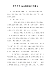 国企公司2025年党建工作要点