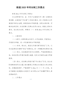 街道2025年河长制工作要点