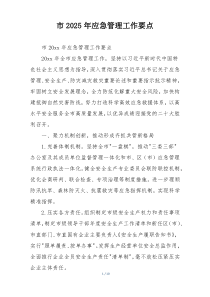 市2025年应急管理工作要点