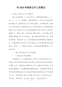 市2025年政务公开工作要点