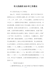 市人民政府2025年工作要点
