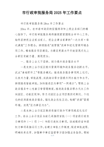 市行政审批服务局2025年工作要点