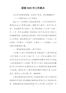 团委2025年工作要点