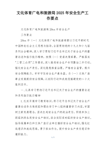 文化体育广电和旅游局2025年安全生产工作要点