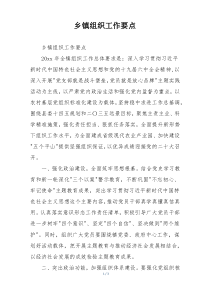 乡镇组织工作要点