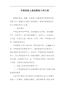 市局党组上报巡察组工作汇报