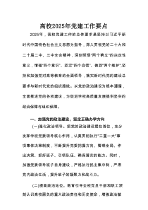 高校2025年党建工作要点