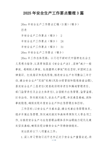 2025年安全生产工作要点整理3篇