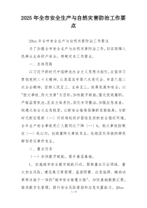 2025年全市安全生产与自然灾害防治工作要点
