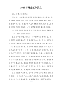 2025年商务工作要点