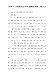 2025年市数据资源和政务服务管理工作要点