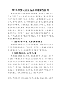 (整理)2025年度民主生活会召开情况报告