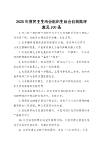 (整理)2025年度民主生活会组织生活会自我批评意见100条