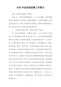 2025年县纪检监察工作要点