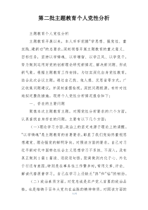 第二批主题教育个人党性分析