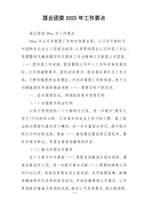 国企团委2025年工作要点