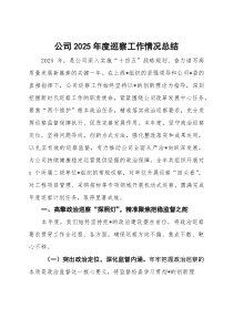 (整理)公司2025年度巡察工作情况总结