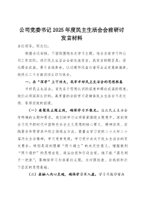 (整理)公司党委书记2025年度民主生活会会前研讨发言材料