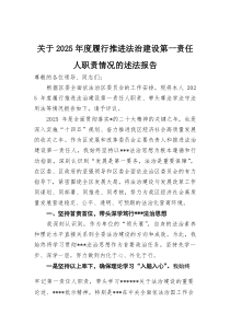 (整理)关于2025年度履行推进法治建设第一责任人职责情况的述法报告