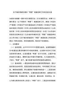 (整理)关于做好高峰头镇村“两委”换届选举工作的实施方案