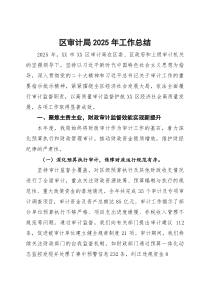 (整理)区审计局2025年工作总结