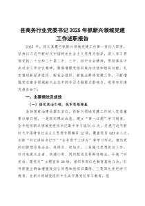 (整理)县商务行业党委书记2025年抓新兴领域党建工作述职报告