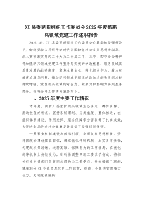 (整理)县委两新组织工作委员会2025年度抓新兴领域党建工作述职报告