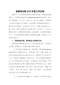 (整理)县委政法委2025年度工作总结