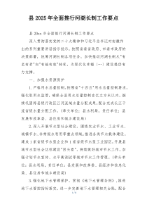 县2025年全面推行河湖长制工作要点