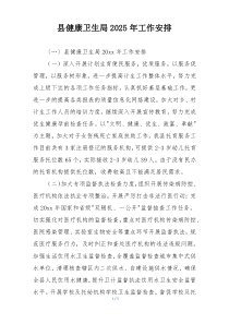 县健康卫生局2025年工作安排