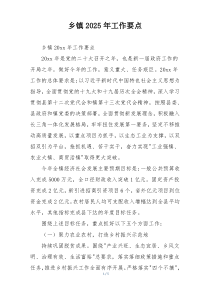 乡镇2025年工作要点