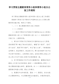 学习贯彻主题教育领导小组和领导小组办公室工作规则