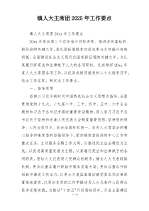 镇人大主席团2025年工作要点
