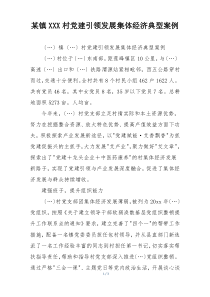 某镇XXX村党建引领发展集体经济典型案例