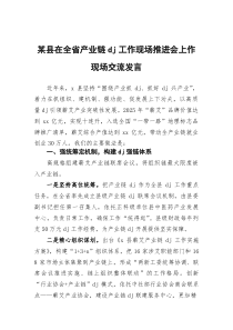 (整理)某县在全省产业链党建工作现场推进会上作现场交流发言