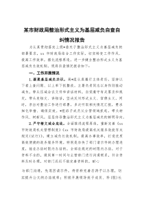 (整理)某市财政局整治形式主义为基层减负自查自纠情况报告