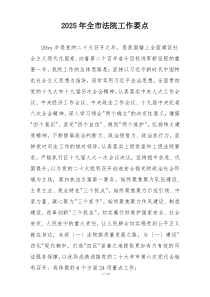 2025年全市法院工作要点