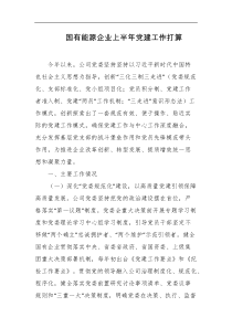 国有能源企业上半年党建工作打算