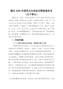 (整理)镇长2025年度民主生活会对照检查发言（五个带头）