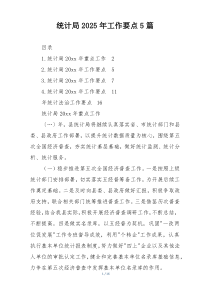 统计局2025年工作要点5篇