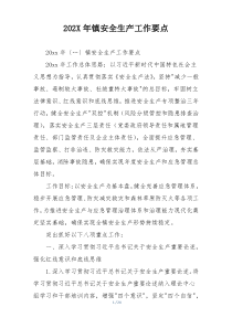 202X年镇安全生产工作要点